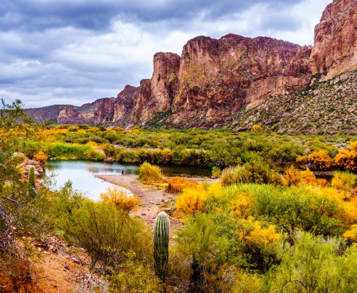 Arizona Oasis 